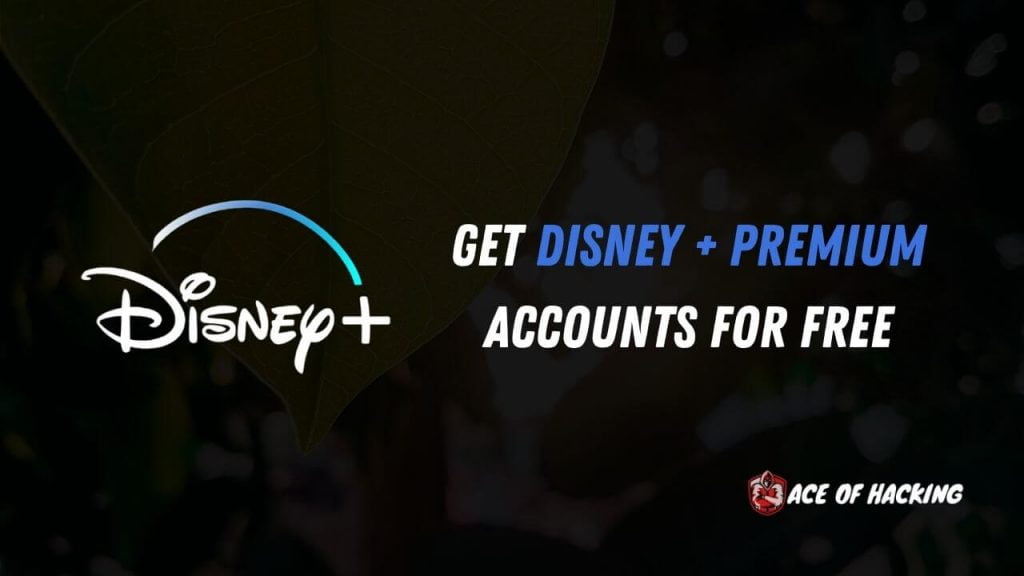 x1000 DISNEY PLUS PREMIUM ACCOUNTS